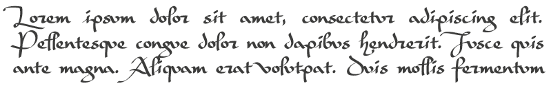 paleografa